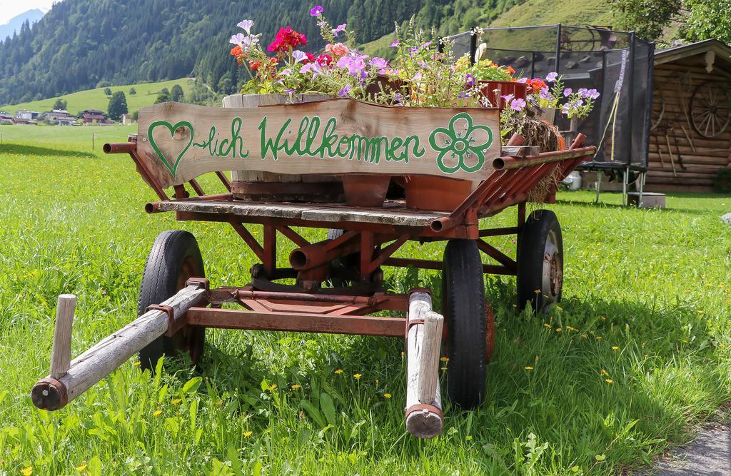 Obersinnlehenhof ไมส์โฮเฟิน ภายนอก รูปภาพ